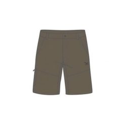 Spodenki i szorty męskie: Szorty i Bermudy Salewa LUNI DRY 21775-7500