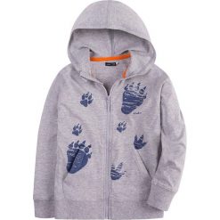 Endo - Bluza dziecięca 134-152 cm. Szare bluzy chłopięce marki Endo, bez wzorów, z bawełny, z kapturem. W wyprzedaży za 69,90 zł.