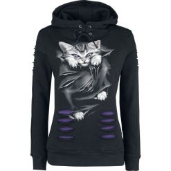 Spiral Bright Eyes Bluza z kapturem damska czarny. Czarne bluzy z kapturem damskie Spiral, m, z nadrukiem. Za 164,90 zł.