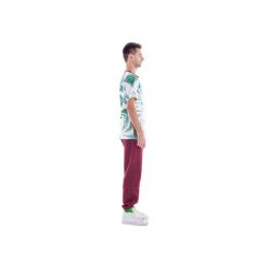 T-shirty męskie: Carabus T-shirt (Green)