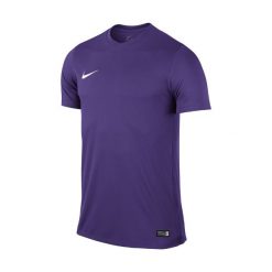 T-shirty męskie: Koszulka Nike Park VI (725891-547)