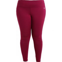 Legginsy: Raiski KORUDON PANTS Legginsy magenta/purple