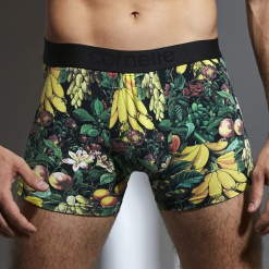 Bokserki męskie CORNETTE Fruit Garden. Szare bokserki męskie marki Astratex, z dzianiny. Za 38,99 zł.