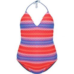 Stroje jednoczęściowe: Seafolly HAVANA Kostium kąpielowy red