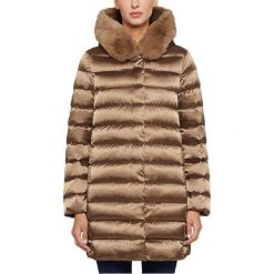 Geox Damska kurtka W Chloo Bear Cub W9425Y-T2411-F6185 (rozmiar 42). Kurtki damskie Geox, bez wzorów. W wyprzedaży za 902,00 zł.