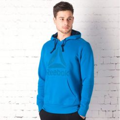 Bluzy męskie: BLUZA REEBOK WORKOUT BIG LOGO AY1673
