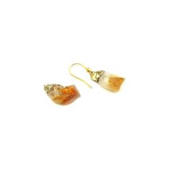 Earrings Cytryn Raw złoto. Żółte kolczyki damskie marki Brazi druse jewelry, z cytrynem, złote. Za 170,00 zł.