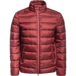 Kurtka puchowa Geox M9425E T2562 F7175. Czerwone kurtki męskie Geox, m, bez wzorów, z puchu, bez kaptura. W wyprzedaży za 549,00 zł.