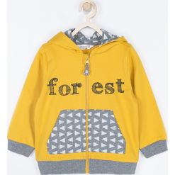 Bluza. Szare bluzy chłopięce marki FOREST, z nadrukiem, z bawełny, z kapturem. Za 69,90 zł.