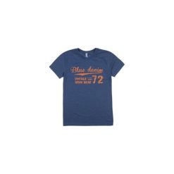 T-shirt krótki rękaw męski z printem. Szare t-shirty męskie marki TXM, m. Za 9,99 zł.