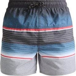 Kąpielówki męskie: Rip Curl RAPTURES Szorty kąpielowe dark blue