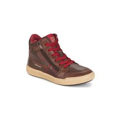 Buty Dziecko Geox J ARZACH B. F. Brązowe trampki chłopięce Geox. Za 263,20 zł.