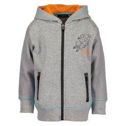 Blue Seven Bluza Chłopięca 116 Szary. Szare bluzy chłopięce marki Blue Seven, z nadrukiem. Za 95,00 zł.