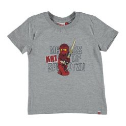 T-shirty chłopięce z długim rękawem: Koszulka „Thomas” w kolorze szarym