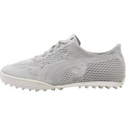 Buty sportowe damskie: Puma Golf MONOLITE CAT Obuwie do golfa glacier gray