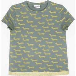 Coccodrillo - T-shirt dziecięcy 128-146 cm. Żółte bluzki dziewczęce COCCODRILLO, z dzianiny, z okrągłym kołnierzem, krótkie. Za 49,90 zł.