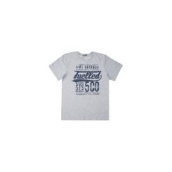T-shirt męski. Szare t-shirty męskie marki TXM, m. Za 15,99 zł.
