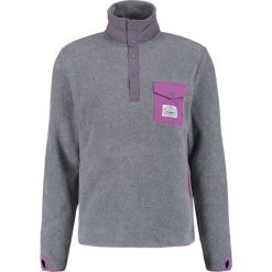 Bluzy męskie: POLER SNAP Bluza z polaru gray