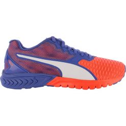 Buty sportowe damskie: buty do biegania damskie PUMA IGNITE DUAL / 189148-01