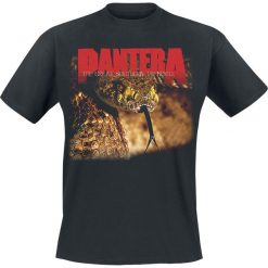 Pantera The Great Southern Trendkill T-Shirt czarny. Czarne koszulki męskie Pantera, l, z nadrukiem, z okrągłym kołnierzem. Za 74,90 zł.