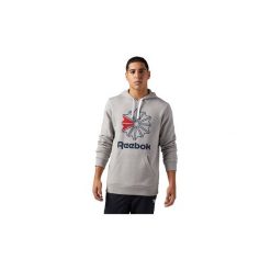 Bluzy męskie: Bluzy Reebok Classic Bluza z kapturem Logo