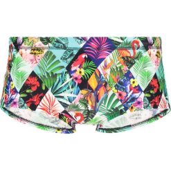 Kąpielówki męskie: Funky Trunks FUNKY Kąpielówki jungle jam