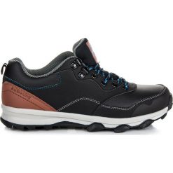Buty trekkingowe męskie: Buty trekkingowe ADALYNN