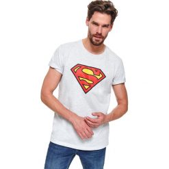 T-shirt superman. Szare t-shirty męskie Top Secret, na zimę, m, z nadrukiem, z bawełny, z okrągłym kołnierzem, krótkie. W wyprzedaży za 39,99 zł.