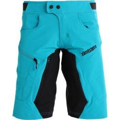 Spodenki sportowe męskie: Zimtstern TAILA Krótkie spodenki sportowe turquoise