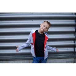 Bluzy chłopięce: Bluza chłopięca Red szara