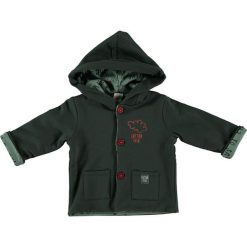 Bluza "Hero" w kolorze niebieskim. Zielone bluzy niemowlęce Cotton Fish, z aplikacjami, bez rękawów, bez kaptura. W wyprzedaży za 92,95 zł.