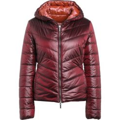 Bomberki damskie: BOSS CASUAL OTARRA Kurtka przejściowa dark red