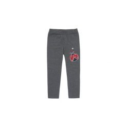 Getry dziewczęce długie. Szare legginsy dziewczęce TXM, długie. Za 19,99 zł.