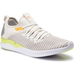 Buty PUMA - Ignite Flash Daylight 192512 01 Vaporous Gray/Drizzle/Yellow. Szare buty sportowe męskie Puma, z tworzywa sztucznego, bez zapięcia, do biegania. Za 349,00 zł.