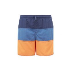 Kąpielówki chłopięce: Kostiumy kąpielowe Dziecko adidas Szorty do pływania Colorblock