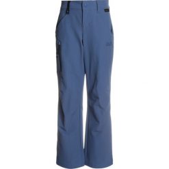 Chinosy chłopięce: Jack Wolfskin ACTIVATE PANTS KIDS Spodnie materiałowe ocean wave