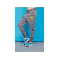Spodnie Loose Szare Panda. Szare spodnie dresowe damskie Zookiwear, m, z elastanu. Za 199,00 zł.