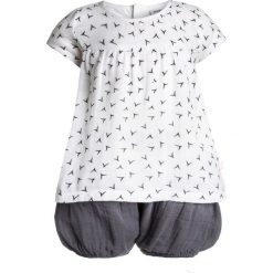 Spodenki chłopięce: Noukie’s COCON GRAPHIC + BLOOMER BABY Szorty cachou