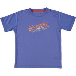 T-shirty chłopięce z nadrukiem: T-shirt w kolorze niebieskim