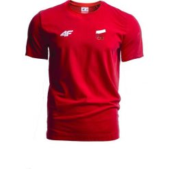 T-shirty męskie: Koszulka męska Polska Pyeongchang 2018 TSM900R – czerwony wiśniowy