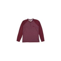 T-shirt męski z długim rękawem. Brązowe t-shirty męskie TXM, m, bez wzorów, bez kołnierzyka, długie. Za 19,99 zł.