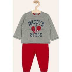 Blukids - Dres dziecięcy 68-98 cm. Szare spodnie chłopięce Blukids, bez wzorów, z bawełny, długie. Za 39,90 zł.