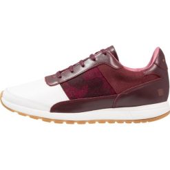 Trampki męskie: Piola CALLAO Tenisówki i Trampki burgundy/white