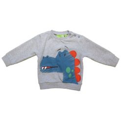 Carodel Chłopięca Bluza Z Dinozaurem 86 Szara. Szare bluzy chłopięce marki Carodel. Za 45,00 zł.