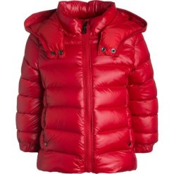Polo Ralph Lauren OUTERWEAR JACKET Kurtka puchowa red. Czerwone kurtki dziewczęce Polo Ralph Lauren, na zimę, z nylonu. W wyprzedaży za 434,85 zł.