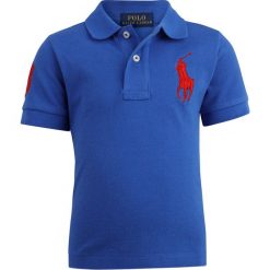 Odzież dziecięca: Polo Ralph Lauren BIG TOPS Koszulka polo dark blue