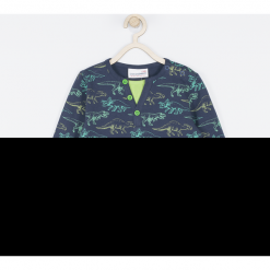 Koszulka. Zielone t-shirty chłopięce z długim rękawem BABY DINO, z nadrukiem, z bawełny. Za 45,90 zł.