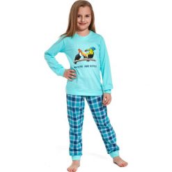 Bielizna chłopięca: piżama toucan kids r. 122/128 (594/82)