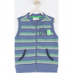 Bluza. Szare bluzy chłopięce marki BABY DINO, w paski, z bawełny. Za 39,90 zł.