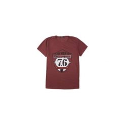 T-shirt krótki rękaw męski z printem. Brązowe t-shirty męskie TXM, m. Za 12,99 zł.